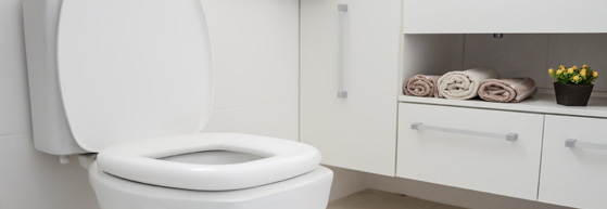 Assentos Sanitários