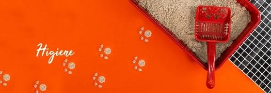 Higiene