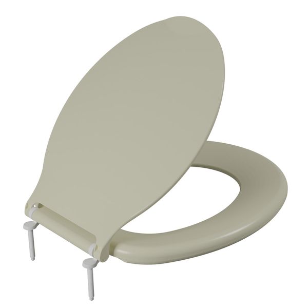 TPRAS-BG5_1 TPRAS-BG5_1