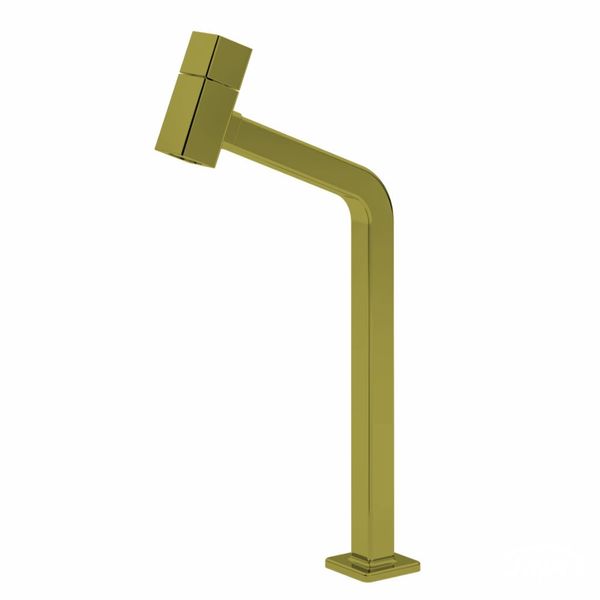 1198AZSG_1 1198AZSG_1