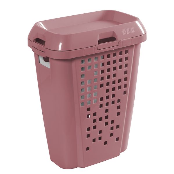 RB6-RSEBR_B2 RB6-RSEBR_B2