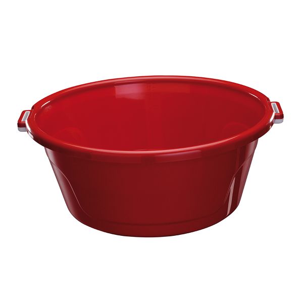 BAC20-BRDBR_1 BAC20-BRDBR_1