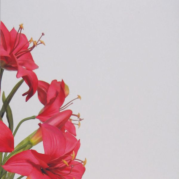 Veneziana 1,00x1,50m Branca com 6 Folhas e Vidro Liso Astra